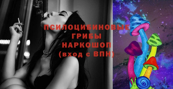 бошки Иннополис