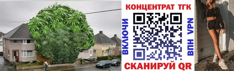 Дистиллят ТГК THC oil mega маркетплейс Кимовск