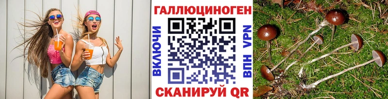 Галлюциногенные грибы мухоморы  omg ССЫЛКА  Кимовск 