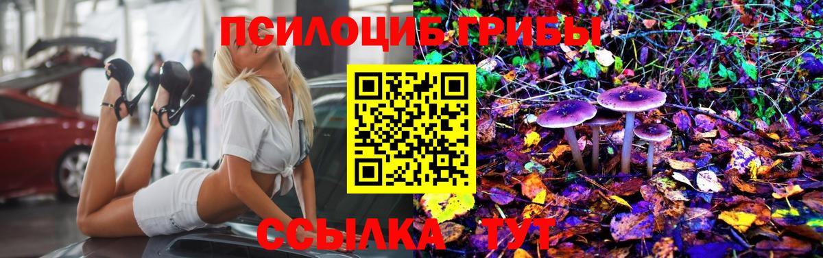 Псилоцибиновые грибы Cubensis Кимовск