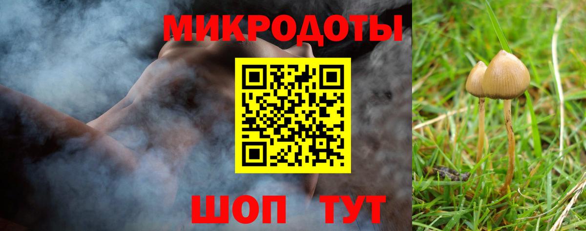 Галлюциногенные грибы Psilocybe  Галлюциногенные грибы MAGIC MUSHROOMS  продажа наркотиков  Кимовск  Вход с VPN 